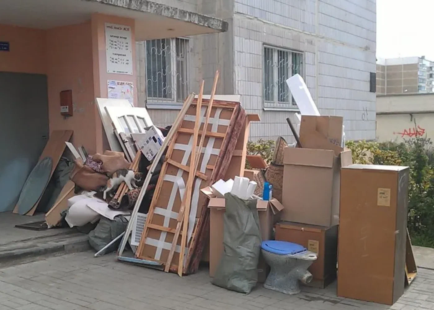 Профессиональный вывоз мусора из квартиры в Нижнем Новгороде в октябре