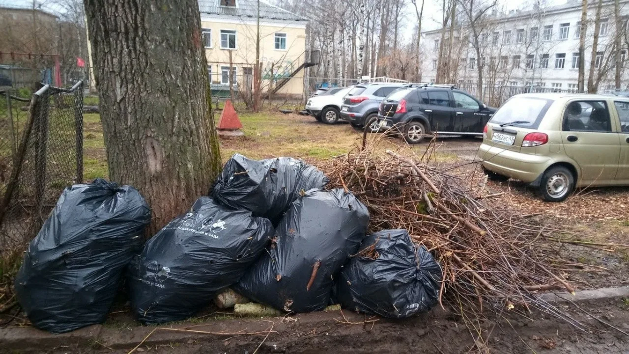Вывоз мусора после субботника в Нижнем Новгороде от ПроМусор – уборка и утилизация отходов от 2449 руб