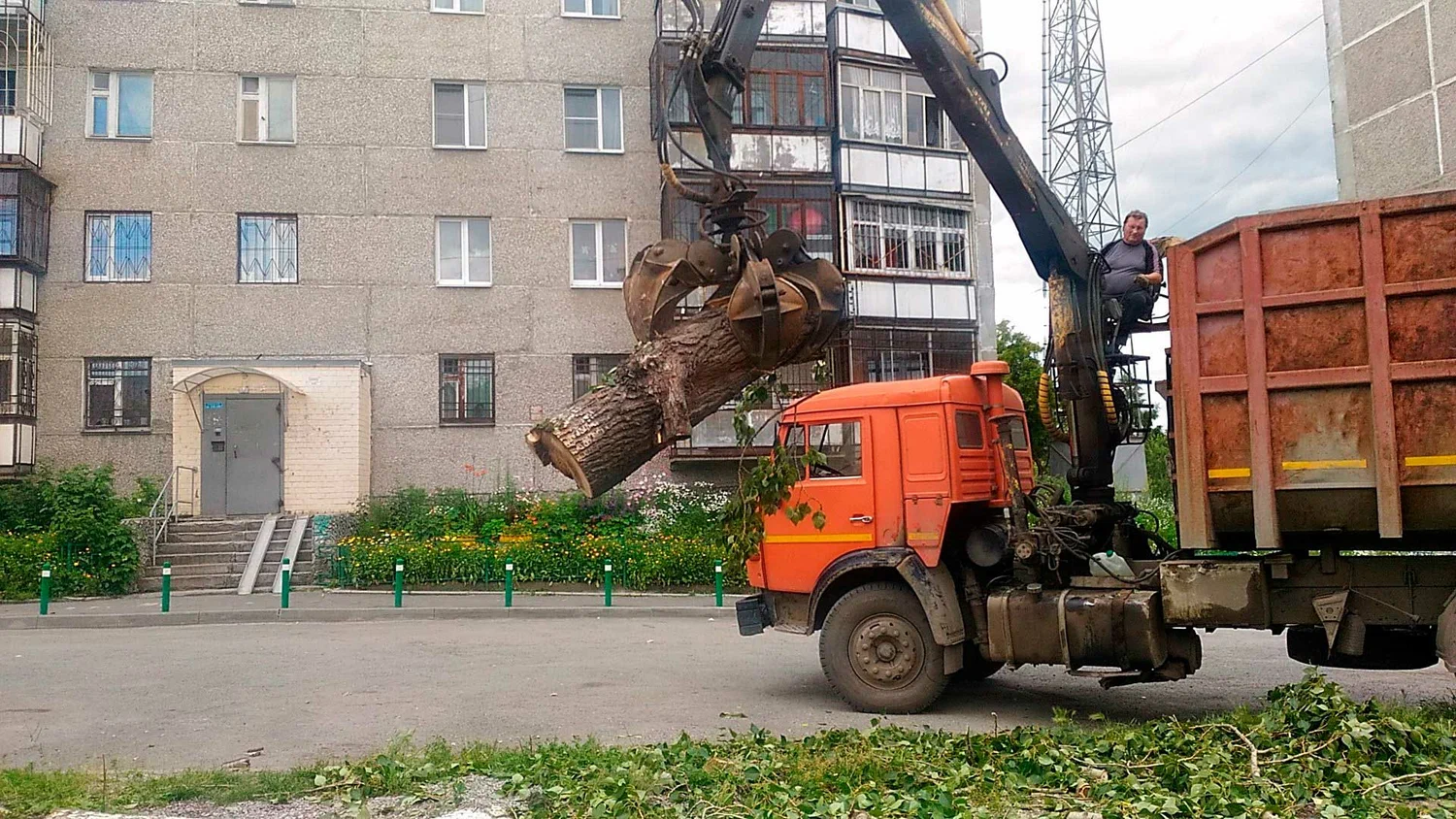 Вывоз спиленных веток и деревьев в Нижнем Новгороде от ПроМусор: порубочные остатки, утилизация, цена от 3022 руб