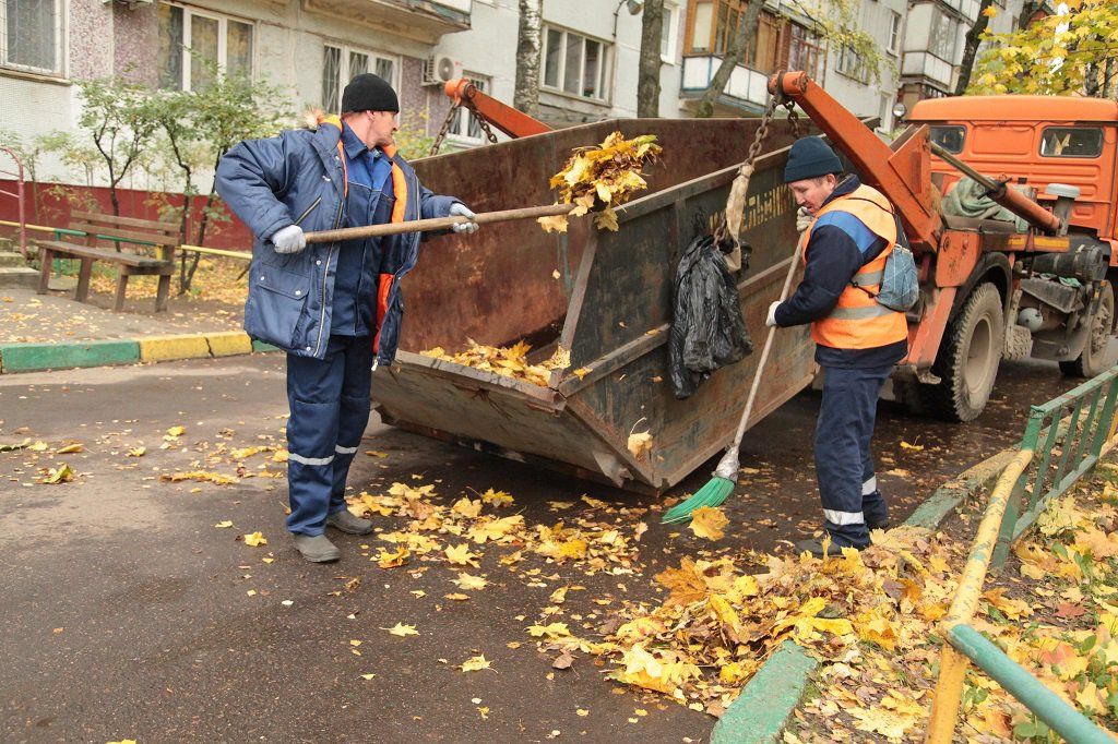 Вывоз опавшей листвы и растительного мусора в Нижнем Новгороде от ПроМусор – цена от 4689 руб., быстрая уборка и утилизация